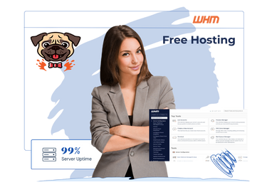 Unlimited Reseller Hosting